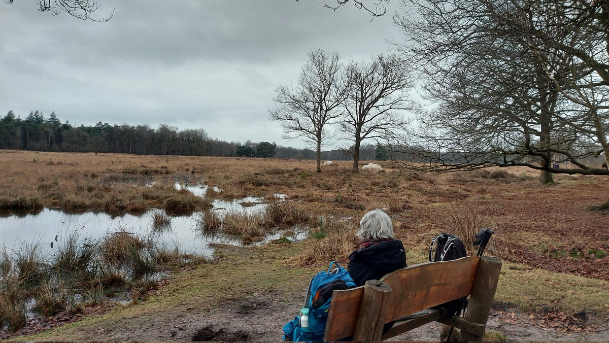 Gerard Brouwer tweet media