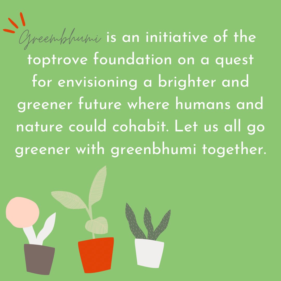 veryvmuch's tweet photo. The environment is where we all meet, where all have a mutual interest, it is the one thing all of us share. Taking an initiative towards a healthy ecosystem along with #greenbhumi . Let’s nurture nature. 🌲🌿🌱🌳🌴🍃🌵🪴🌏 #environment #reforestation #natureheals #renewables https://t.co/h8zKkaMP26