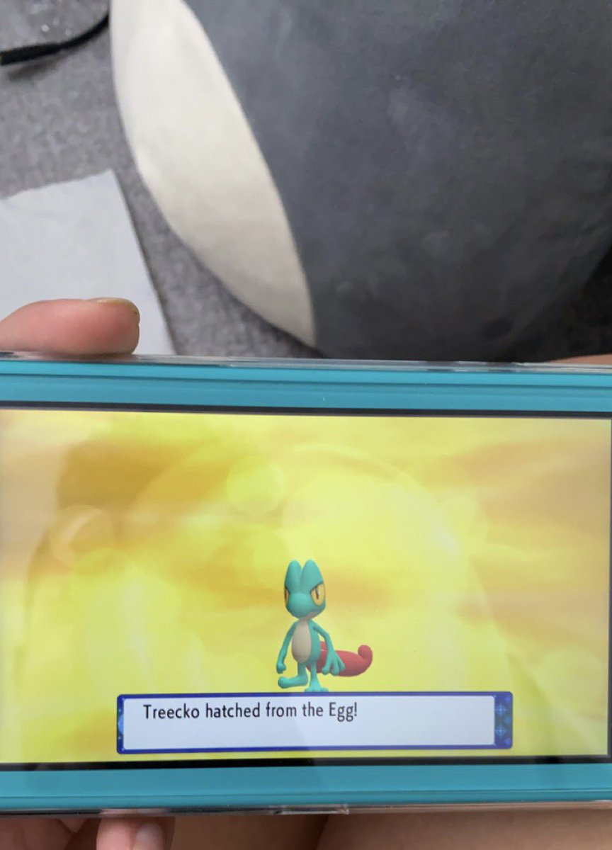 Hoenn Trainer tweet media