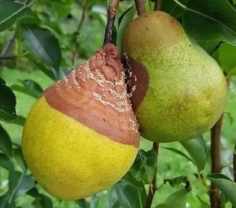 MrBeaucoeur's tweet image. L'exemple parfait d'être seul est mieux que d'être avec la mauvaise personne.