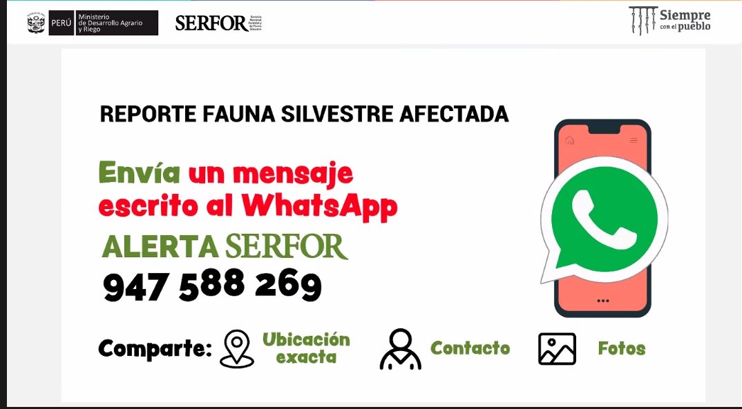 Luis Santolalla tweet media