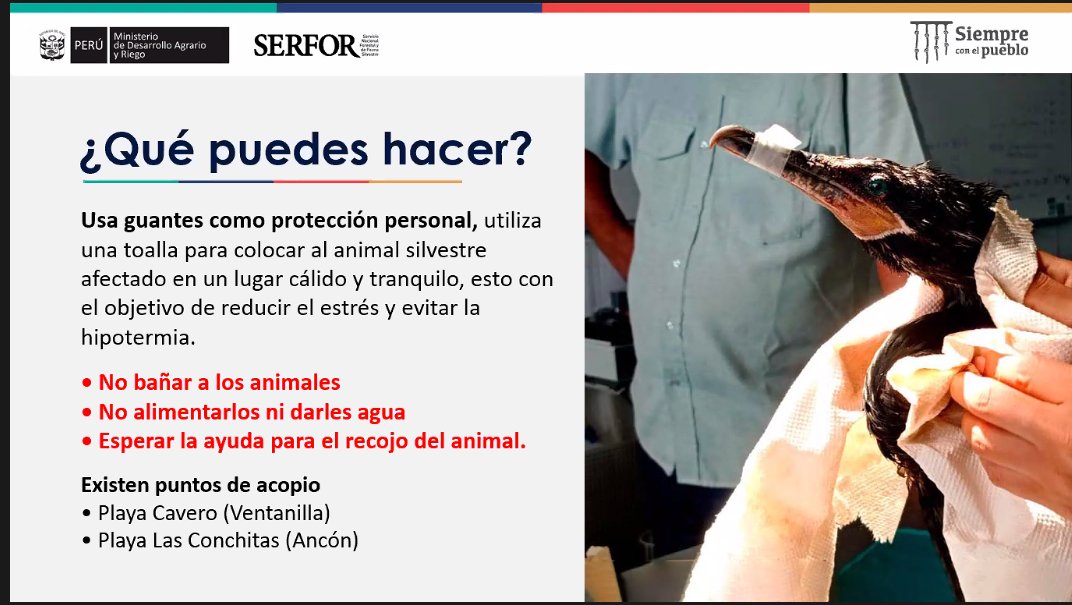 Luis Santolalla tweet media