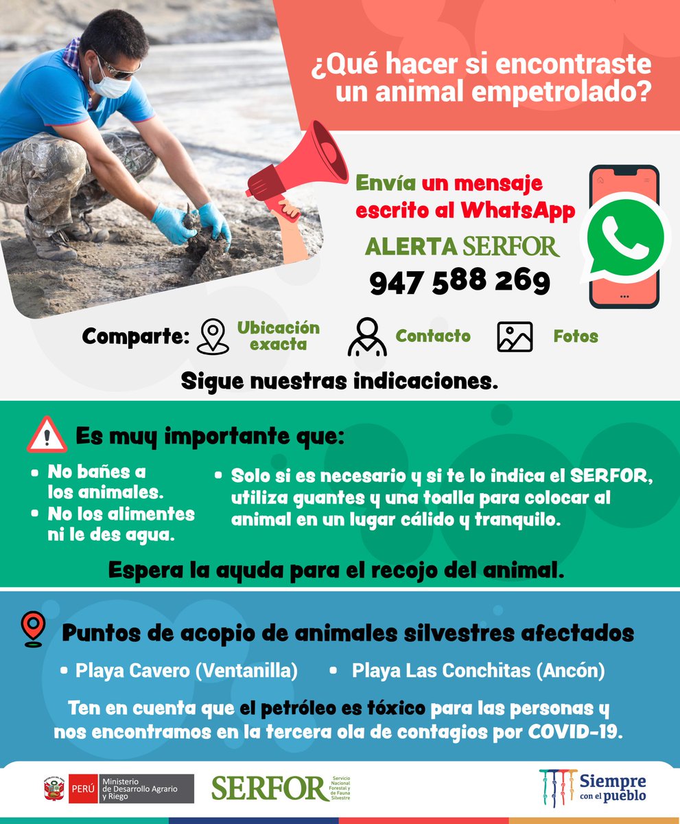 Luis Santolalla tweet media