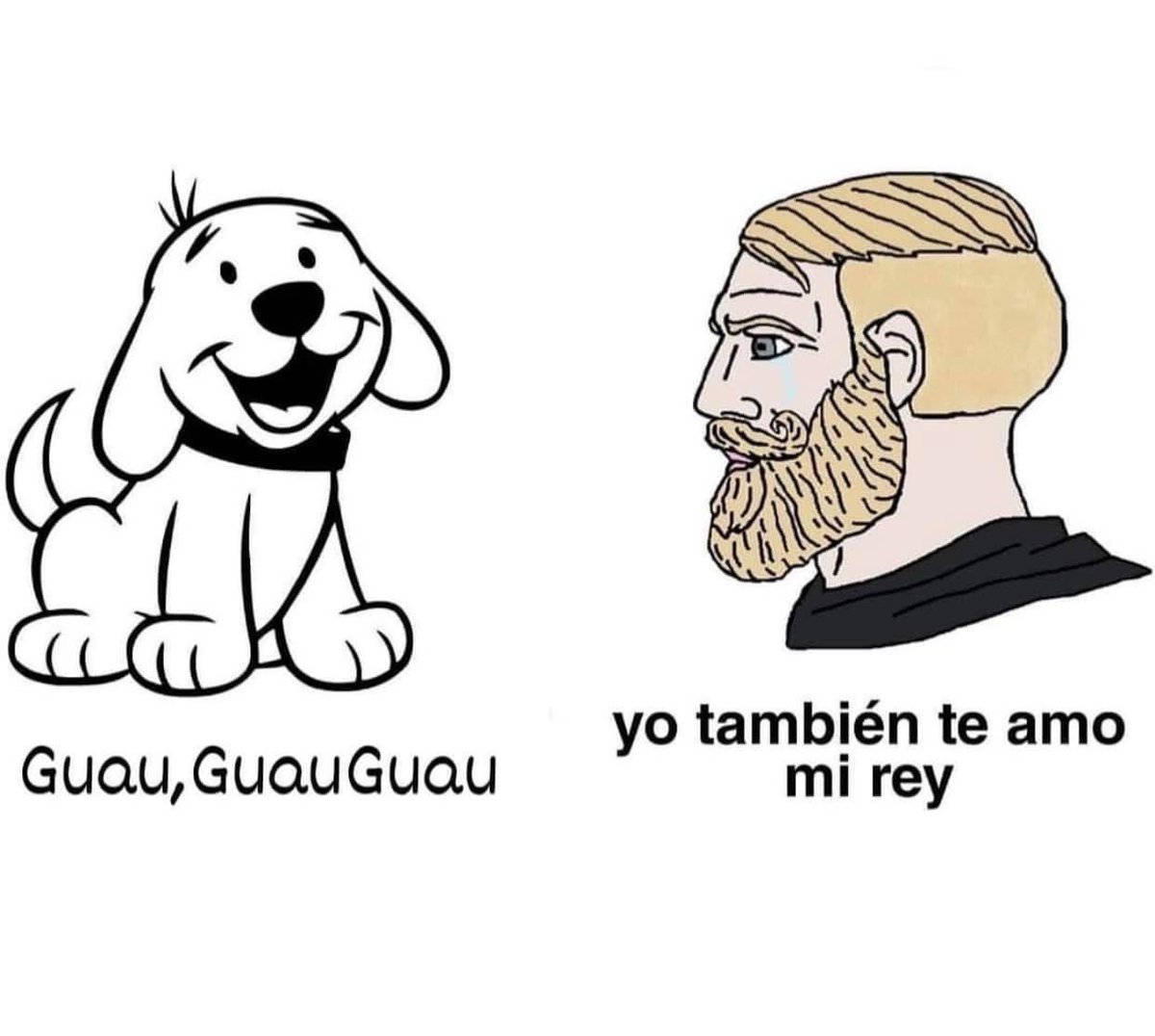 Cuando mi perrito ladra y mueve su colita mientras me ve.