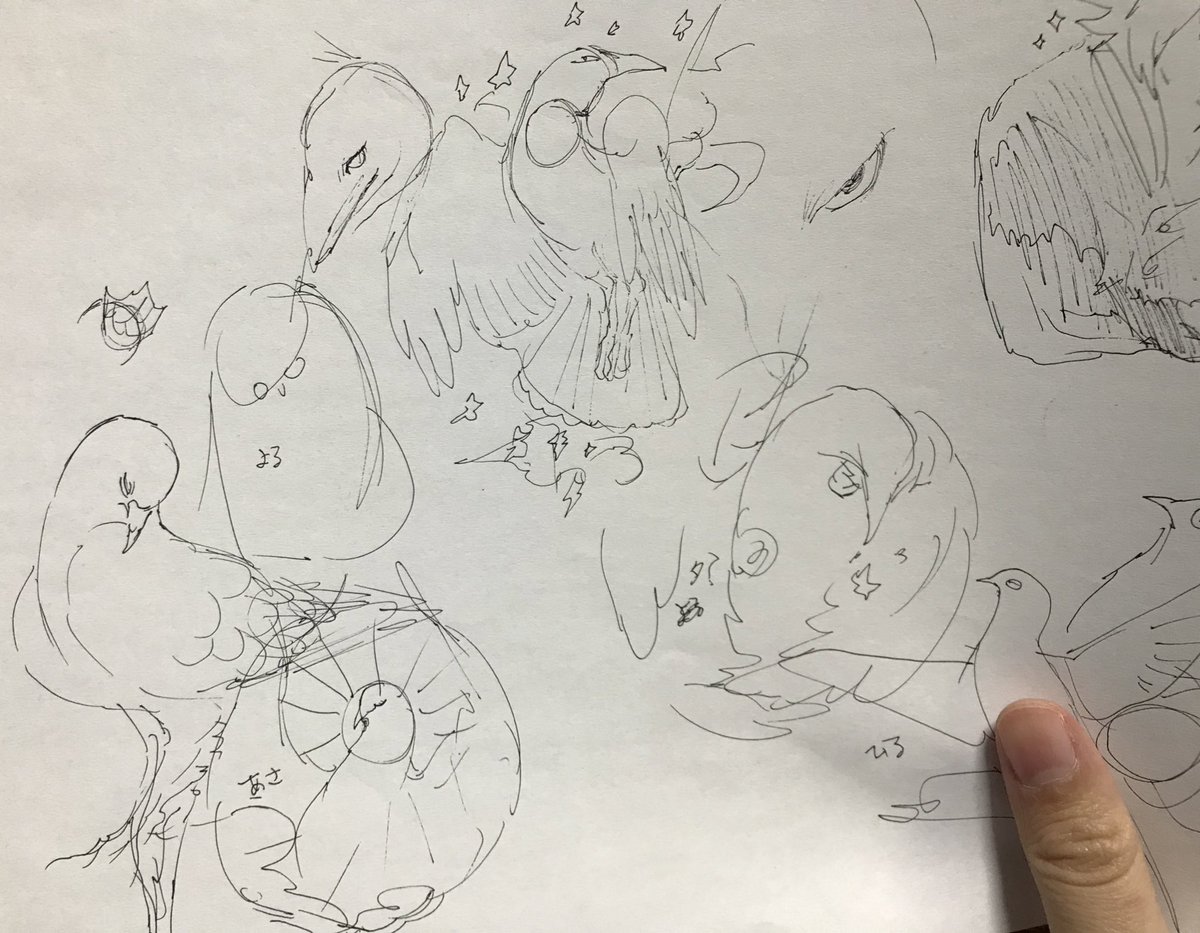 ハト・カラス・ツバメの3種の切り絵のラフです  制作はしてません  希望があったら作ります🕊 