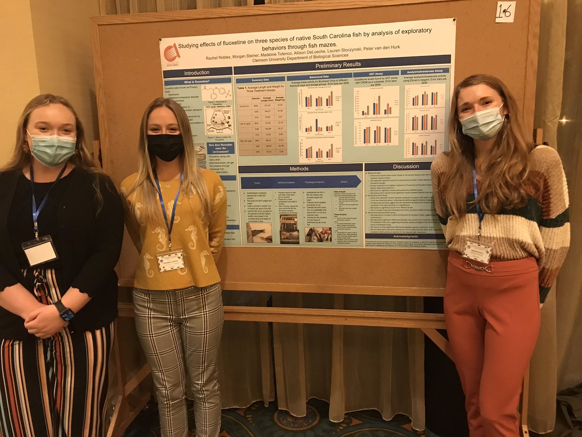Eco_Stosh's tweet photo. Such a proud mentor of these four ladies for presenting research we have been working on over the last year #sdafs #conference #phdlife https://t.co/9FdFtueyAp