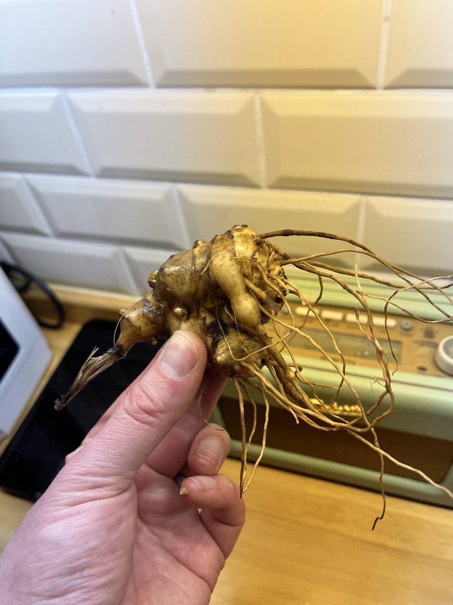timmilford's tweet photo. What is this? Wrong answers only please… https://t.co/U0gRj2F2oT
