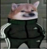 FryRylg's tweet photo. @discord 5 https://t.co/9IDH2z1OU8
