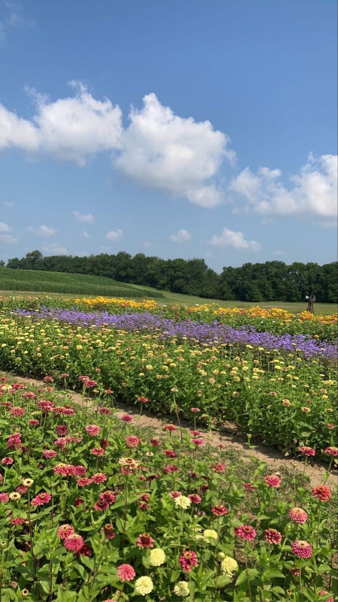 ⠀
𝐂omo é final de semana costumo vim para minha fazendinha! Gosto muito de estar aqui, sempre faço questão de vir visitar para ver meus bebês. Estava pensando em fazer um passeio mais tarde. E fotinhos para vocês verem um pouco!! ♡
⠀