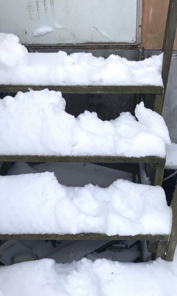 ItsAprilBritt's tweet photo. First snow of 2022 🥶🌨❄️ https://t.co/7tPof5vXYr