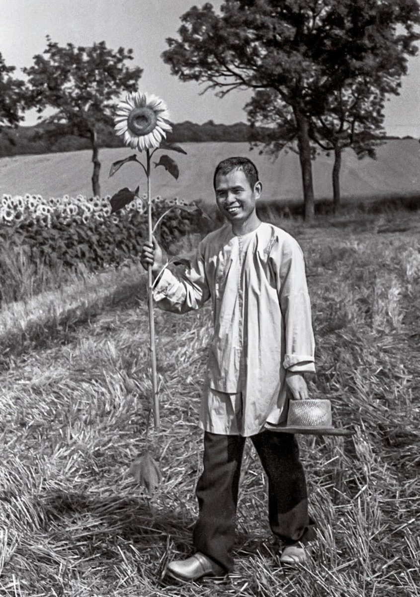 chenchenwrites's tweet image. love this photo of Thich Nhat Hanh holding a sunflower while standing in a field in southwest France, early 1980s. love how he invited/invites us to “see the universe in a sunflower,” drawing on his time in this region known for its sunflowers