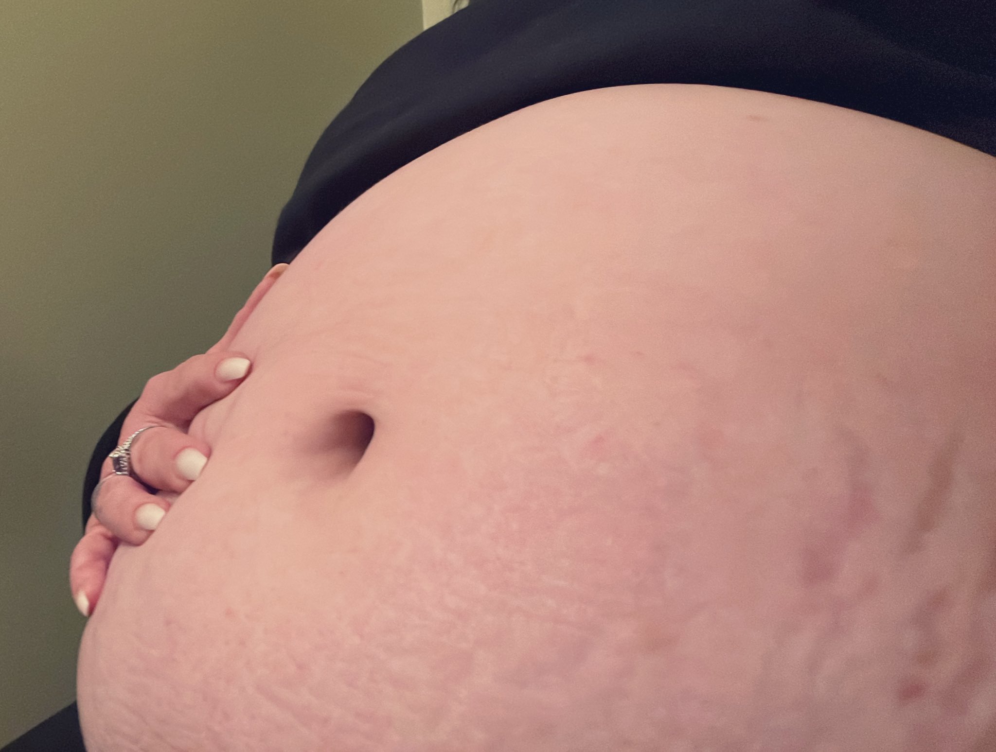 Non appropriato Lumaca di mare zolfo huge belly stuffing
