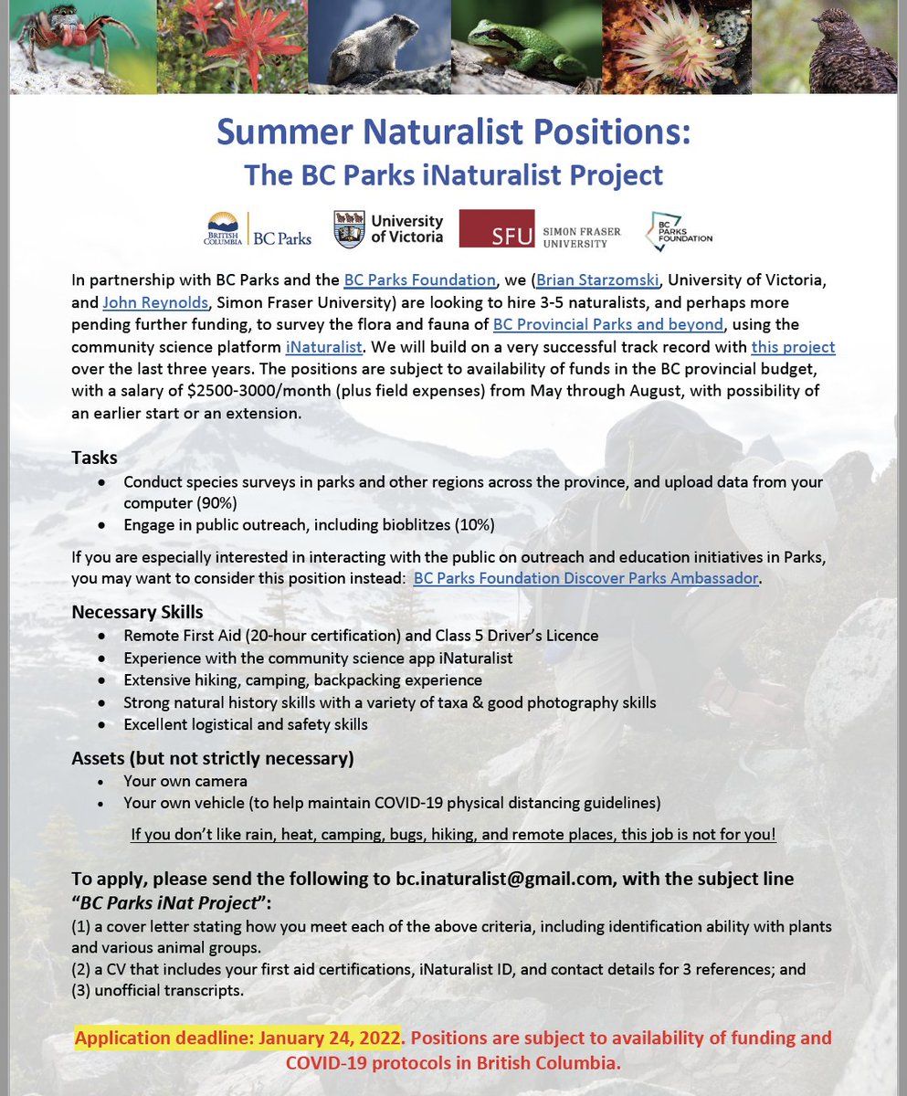 Monday is the deadline for the best job in the world - camping across BC this summer, using @inaturalist to upload observations for the BC Parks iNat project. We want the BEST naturalists/photographers. More info bit.ly/3fNrIgC. 🦅🐞 🌻🐸🦋🦈🐍🐭🐋