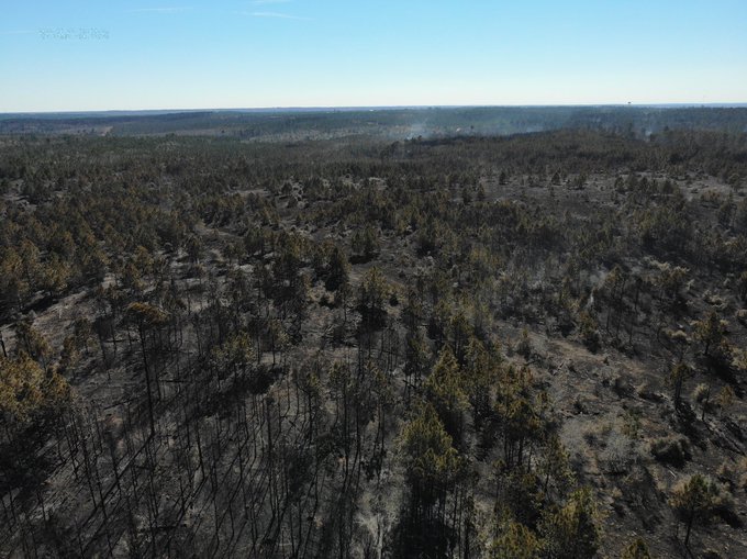 Drone image from the Rolling Pines Fire in Bastrop County on January 22, 2022.