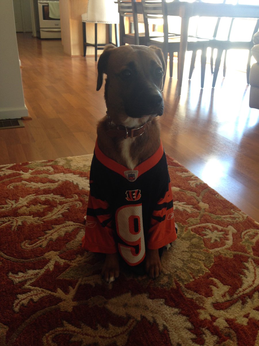 LunaMarieLeo's tweet photo. @Bengals Who dey!?!? No, seriously, who dey? 
Next up…..!!!! https://t.co/5FruCd3g5d