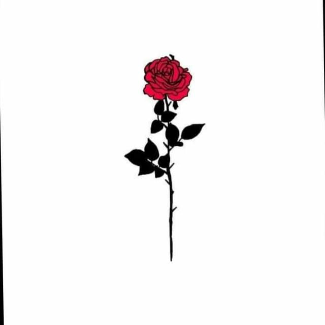 Can78869713's tweet photo. @Mert51609347 https://t.co/dEWjqeXgfX