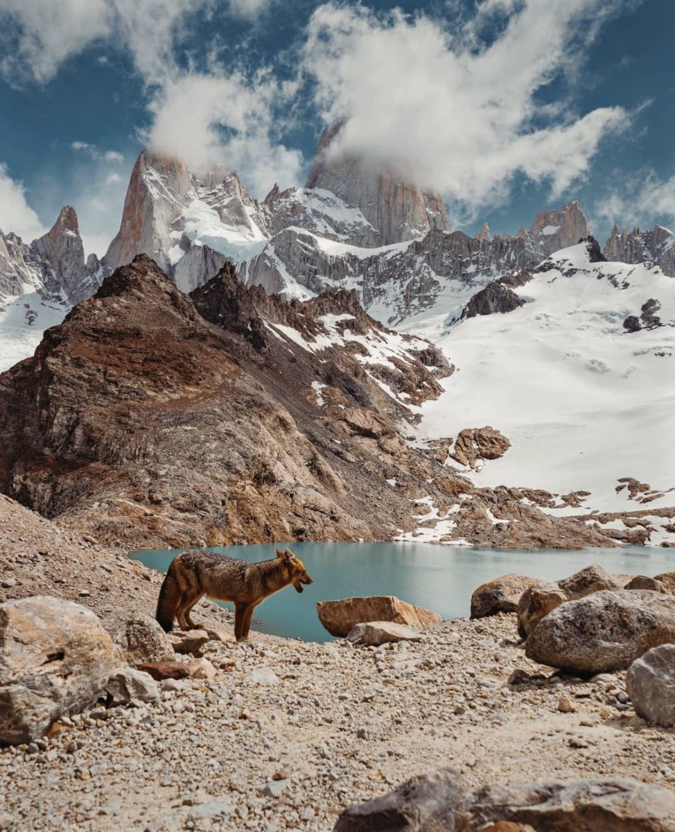 🏔❄️
📍Chalten, Argentina 🇦🇷