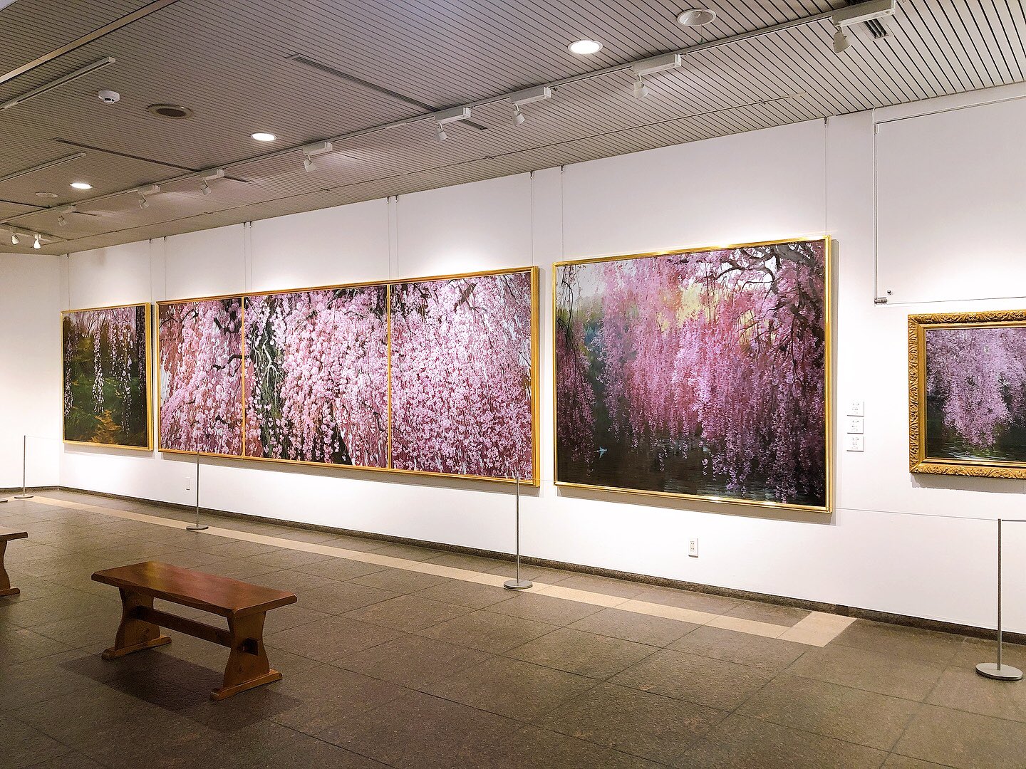 八木伸子、、希少な額装用画集より、厳選、新品額装、マット額装付
