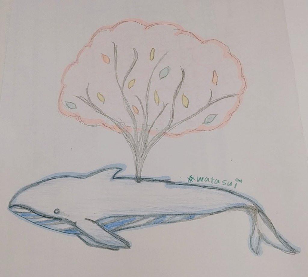 わたぐも水族館 Watagumo Sui Twitter