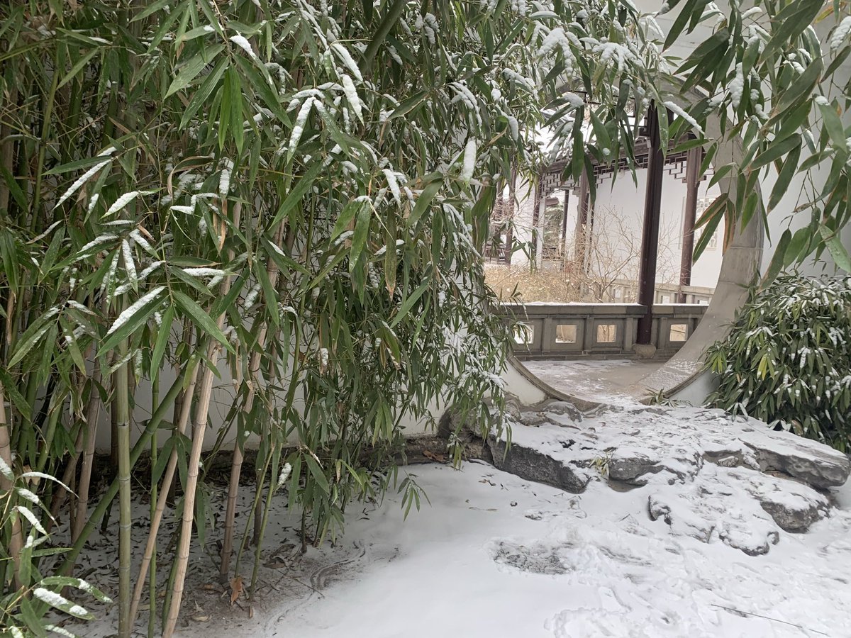 TomBurnBeijing's tweet photo. Snow falls on bamboo, snow falls on red telephone box and Royal Guardsman #northerncapital https://t.co/hCsfDeTmLu