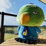 Kotaroこたろー@✈︎海外弾丸旅✈︎中断のツイート画像