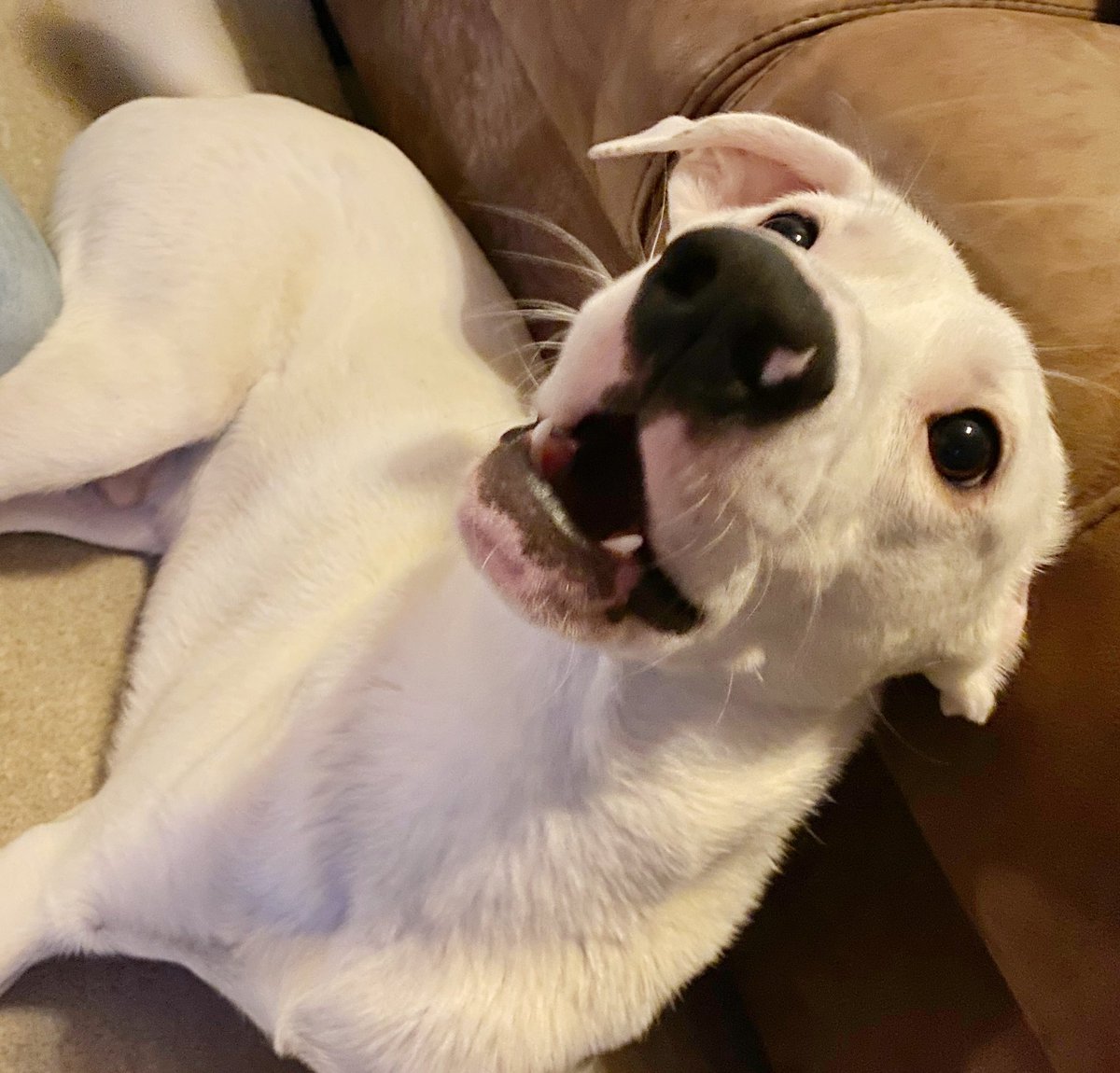 People of Leeds tweet media