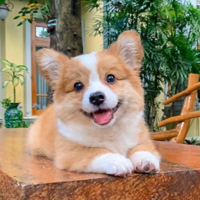 gh69201772's tweet photo. #新头像 https://t.co/X2opl9HWJp