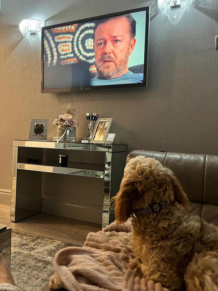 manchestersurv1's tweet image. This is my dog 🐶 willow any time she hears @rickygervais  on the tv. It’s like he has some godly connection with dogs …. Even though god doesn’t exist 🤷🏼‍♂️😎