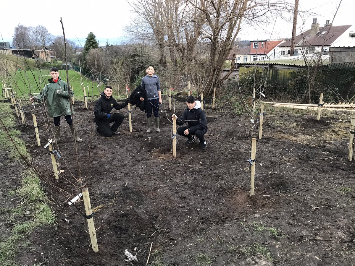 Today we planted 50 fruit trees🍎🍐🍒 as part of our plans to create an orchard and well-being area with @YorksAmbulance. The trees were supplied by @FruitWorksCoop. Thanks to volunteers from @LLAlliance partners & @HovinghamTweet @carr_manor who came to help us. #GrowTogether🌱 https://t.co/4qZhYJmxzN.