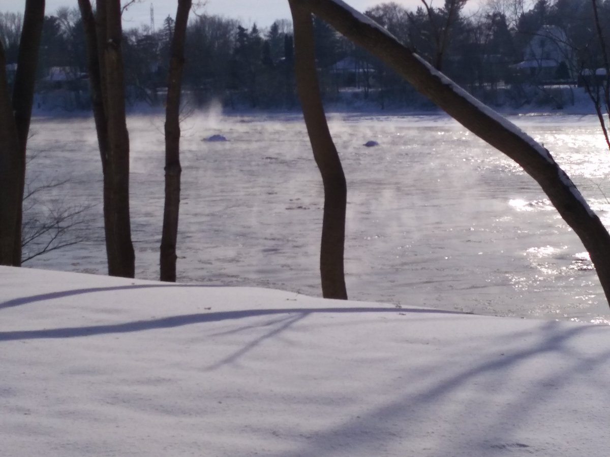De retour d'une marche. La fumée glaciale sur la rivière Richelieu n'a pas empêché qq canards de s'y baigner. Réflexion: Ils sont en caoutchouc ou quoi? #pasurlaphoto #canardglacé #rivièrerichelieu