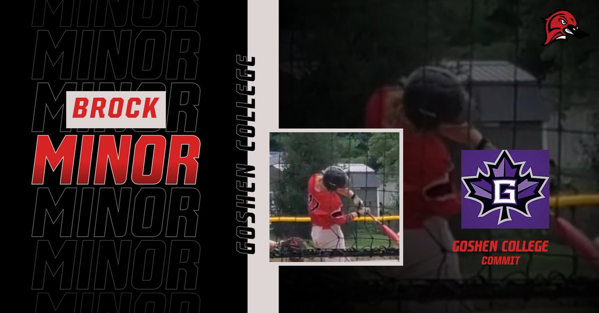 Lake Land Baseball tweet media