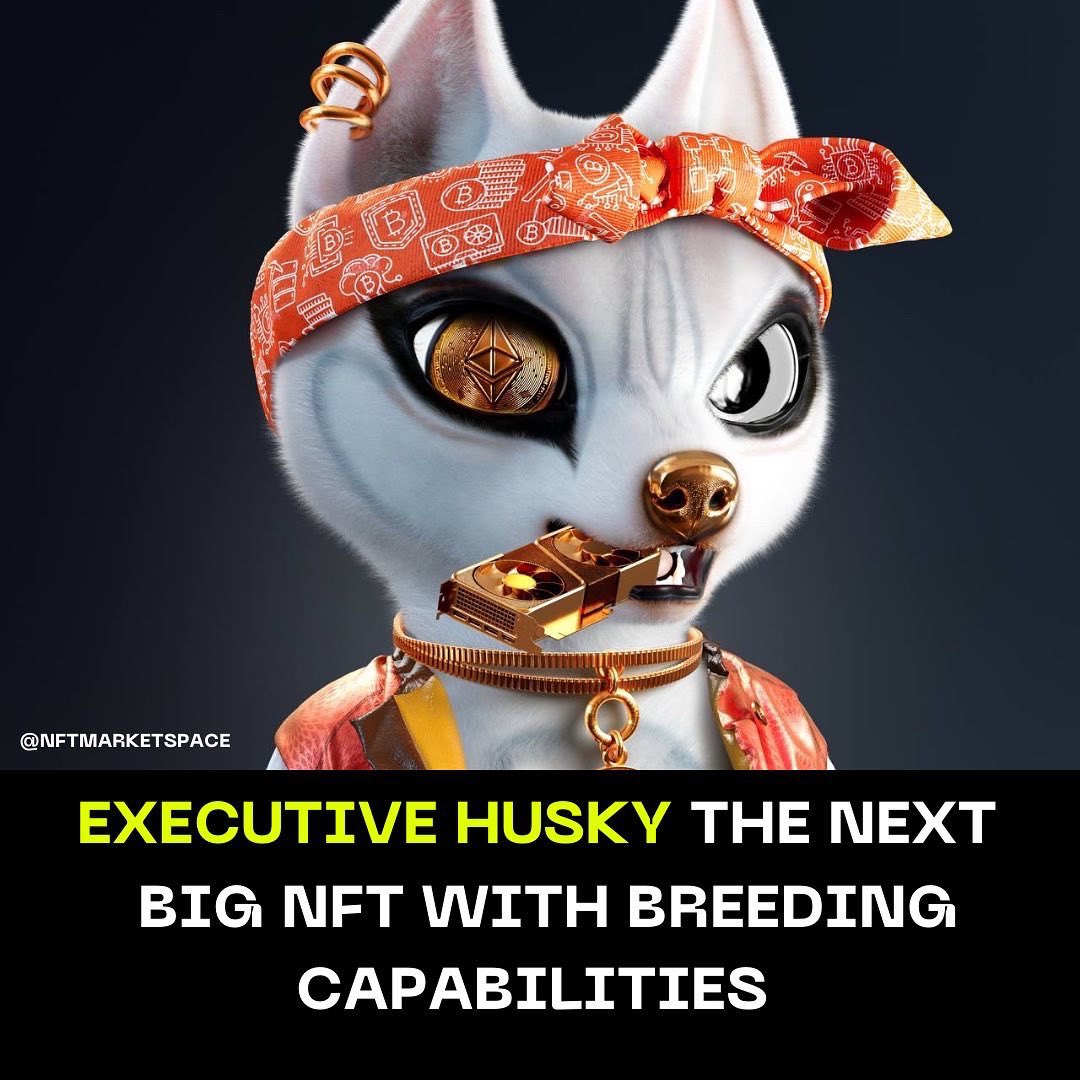 Aarynsoze's tweet photo. @NFT_D_A_O @Executivehusky1 already gave out a Hellcat, McLaren, &amp; 5k!! We’d love for you to join the community and join our mansion &amp; yatch parties‼️🚀🐺🚀🌖 #huskynation https://t.co/ICxhMlB139