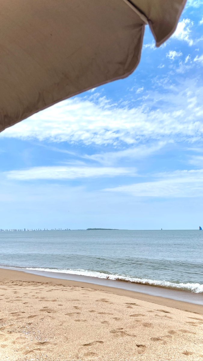 eu_er's tweet image. 🇺🇾