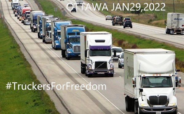 The jackasses at #TruckersForFreedom want us to believe this picture was taken in January in Canada.