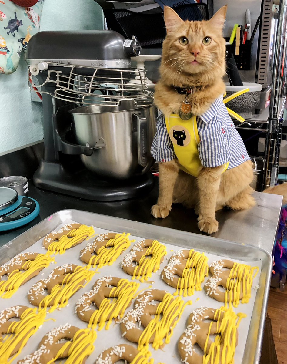 LuckyDogKS's tweet photo. Pretzel wanted to show off his bakery work today! He made lots of pretzels for his doggy friends to eat 🥨 🧀 Look out for our new bakery treats this upcoming week 🤗 #luckydogbakery #luckycatpretzel #catswhowork https://t.co/kbrVkr44Oz