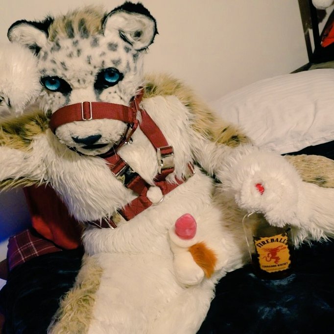 ByDabbed's tweet photo. 🐆💙 pinned tweet 💙🐆
26/pan/taken ❤️
Irl MILF
Murrsuiter
Hentai addict
✅🔗 Restraints, sheaths, bdsm, bod mods, oral fixation 🔗✅
Open DMs for requests/tips. Always free content ^_^

🚫 Fuck off minors, pedos, zoos. 🚫 https://t.co/lA1AxE9dk6