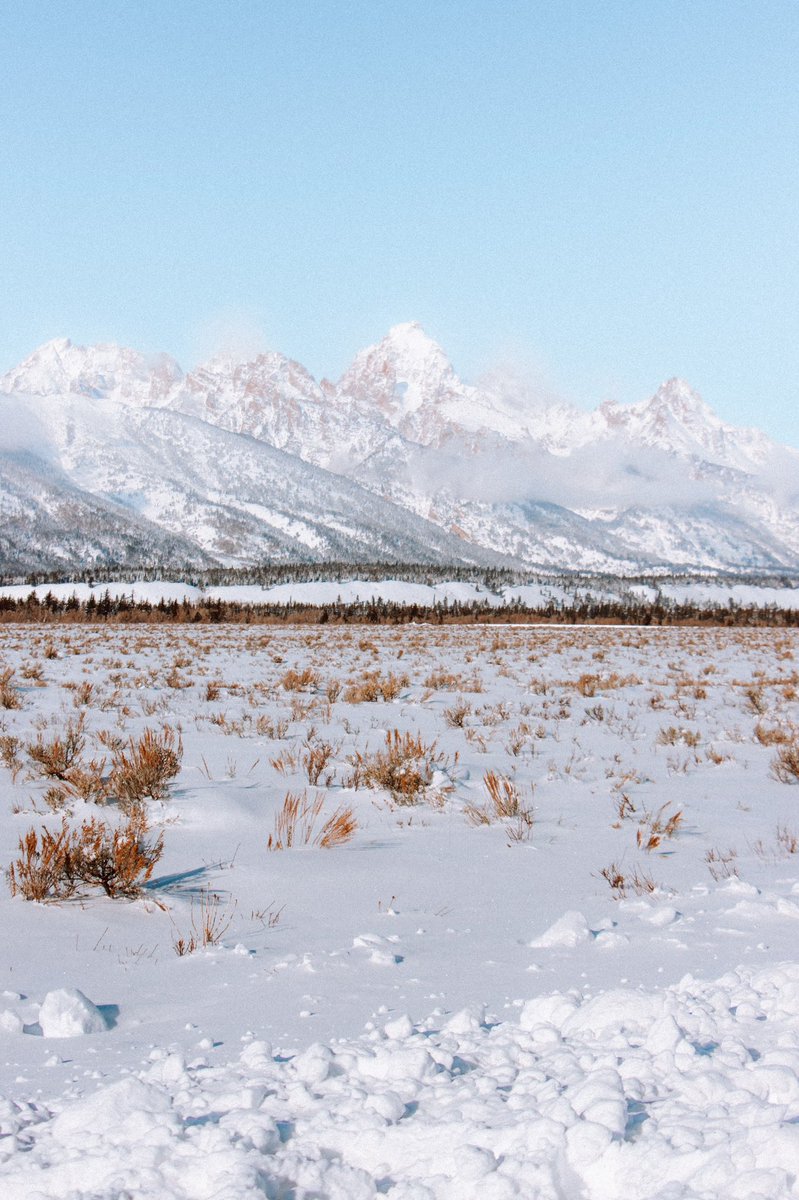 voyagerben_'s tweet photo. Just a beautiful sunny day in the Tetons ☀️ https://t.co/7FRwNZSuAv