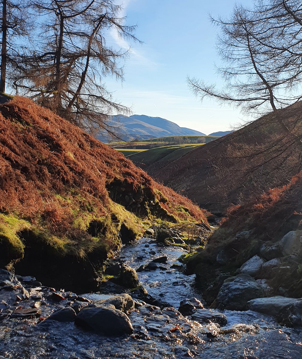 sammartinart's tweet photo. The inspiration behind yesterdays painting 😍 #WhitBeck #Helvellyn #Lakedistrict #inspiration #nature #Keswick #LonscaleFell #Cumbria https://t.co/uDgfVu37YK