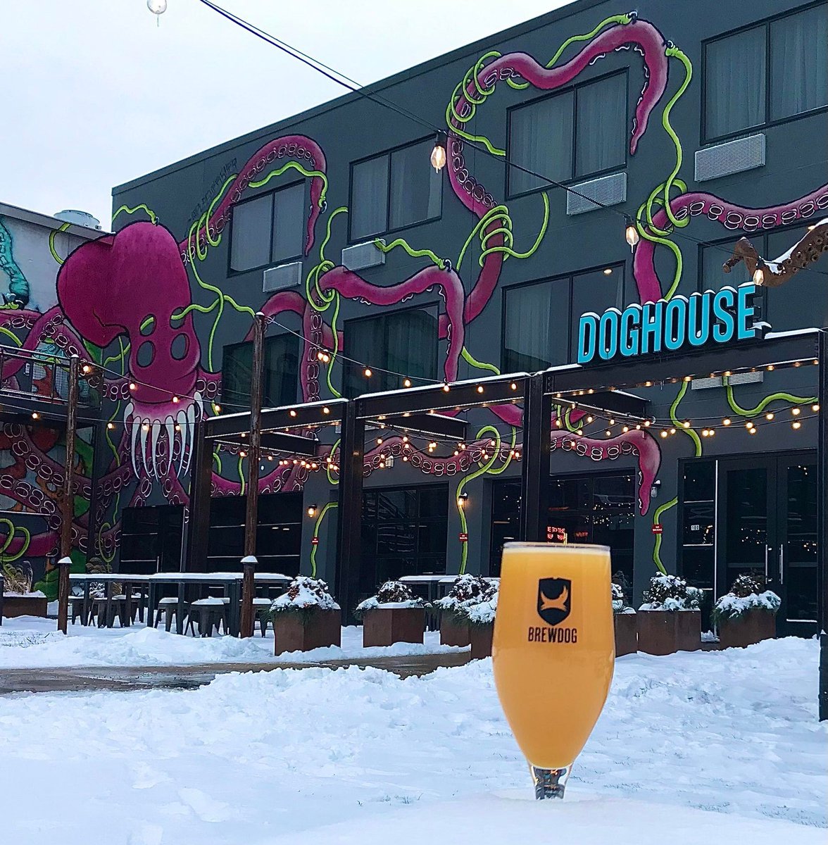 DoghouseHotel's tweet photo. Just for being an esteemed guest here at the DogHouse, you get to have access to a complimentary Beermosa every morning! ❄🍺 P.S. Don't forget to stay warm! 🥶 https://t.co/xuLyxZYhNL