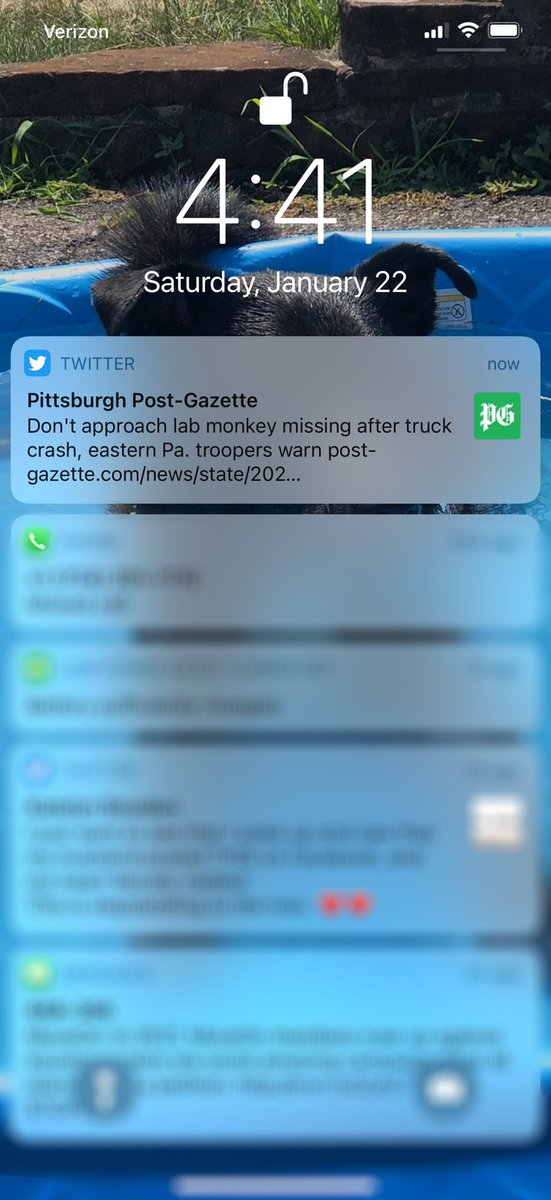 lisaa_maee's tweet photo. ah good, escaped lab monkeys https://t.co/HnKrdplzr2