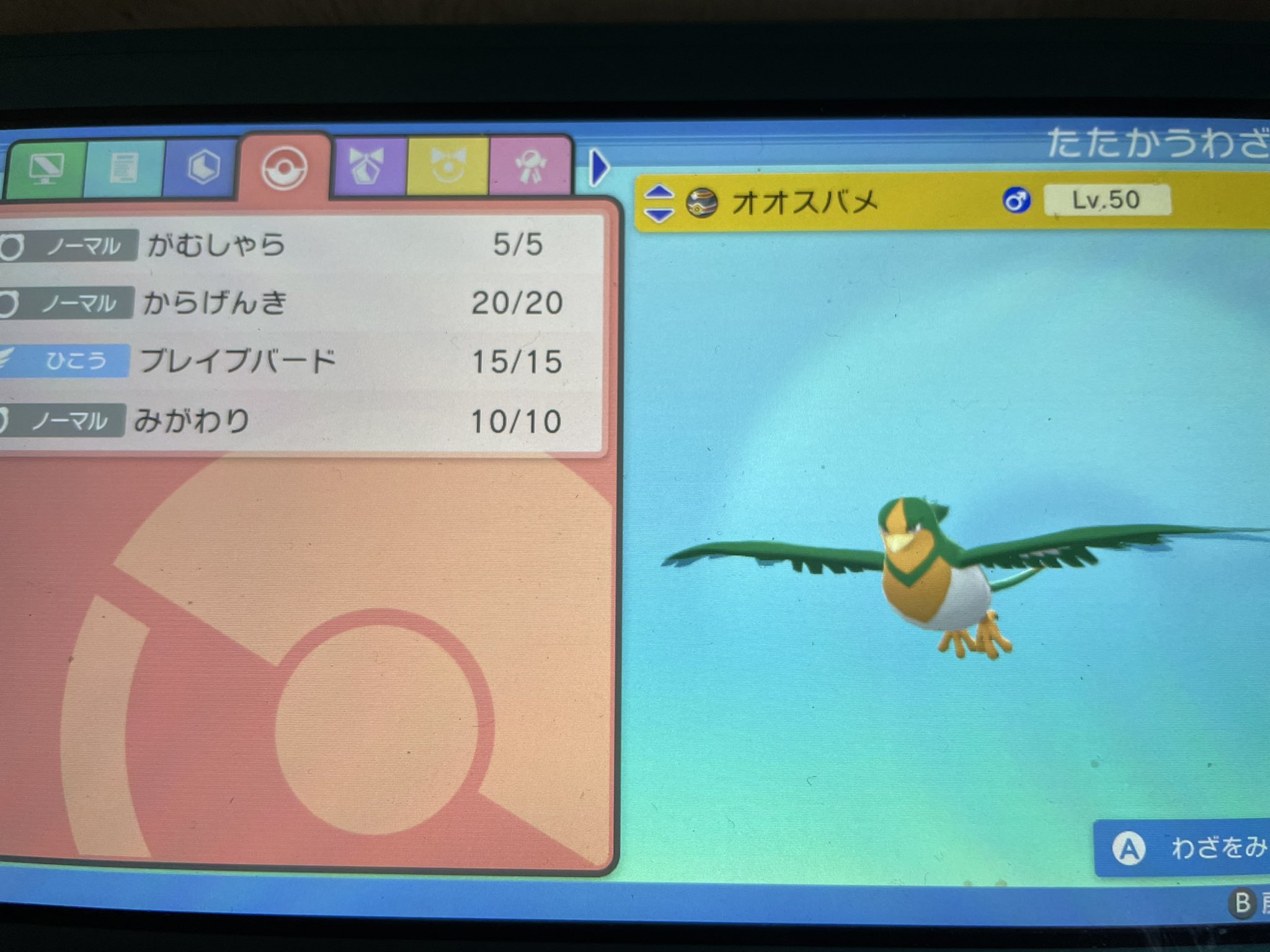 Sho Xja6n5xjtilavpl Twitter