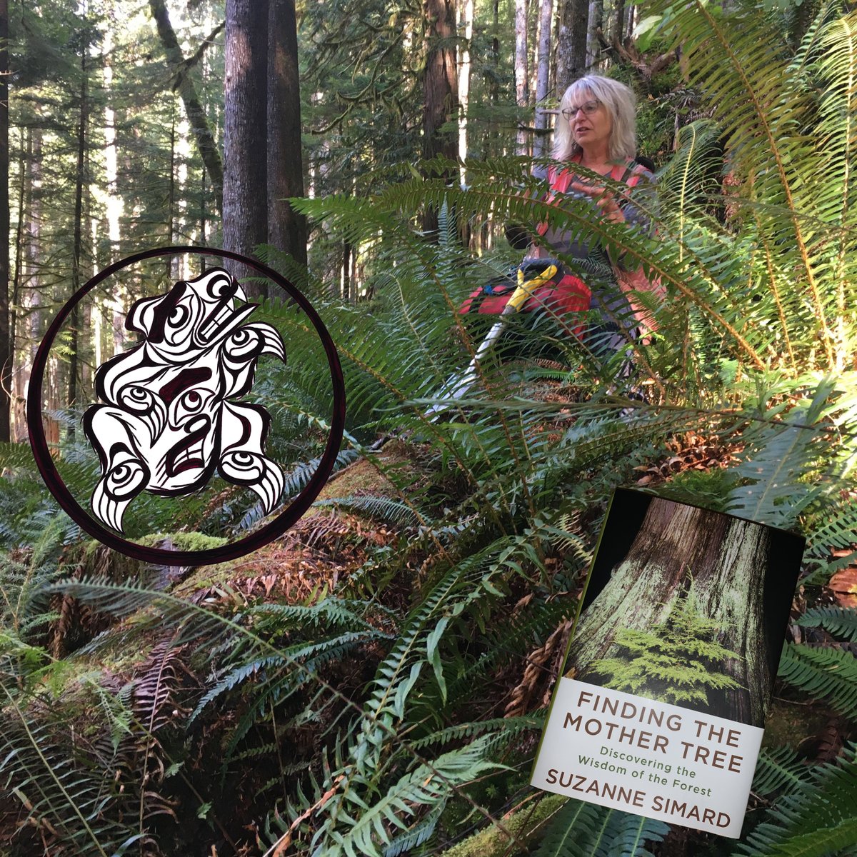 FrankVoelker3's tweet photo. In 2022 @DrSuzanneSimard will continue her work in Phillips Arm to help Kwiakah with our nation's research into a regenerative forestry model.
#safetheforest #stopclearcutting #stopthespray #saveoldgrowth #findingthemothertree https://t.co/7pkgW9GZBn