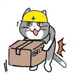 cat no humans box cardboard box white background helmet hardhat  illustration images