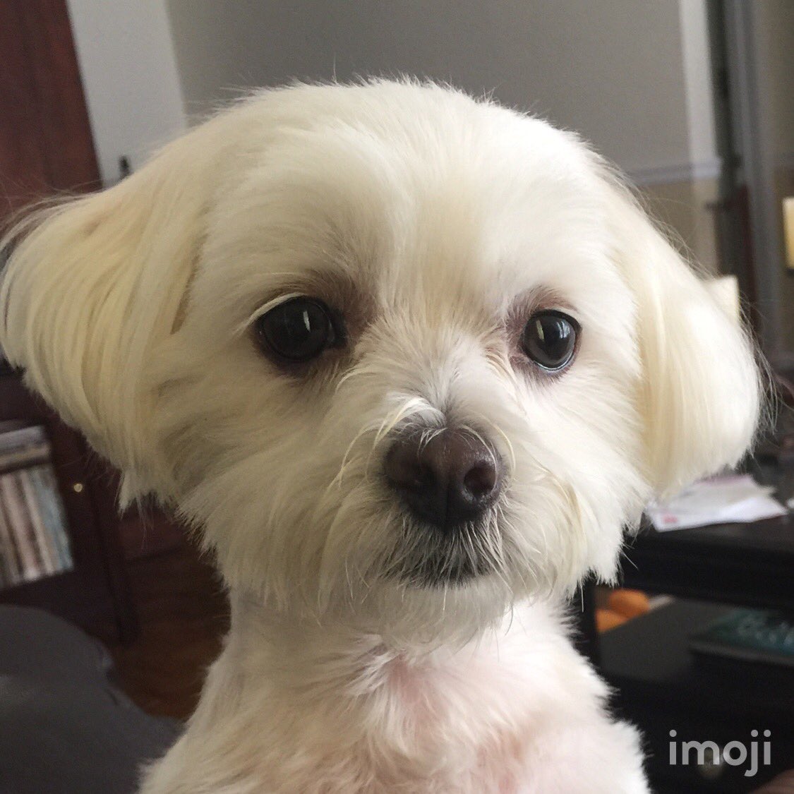 lidicef's tweet photo. @jengolbeck https://t.co/1XhHHoRH65
