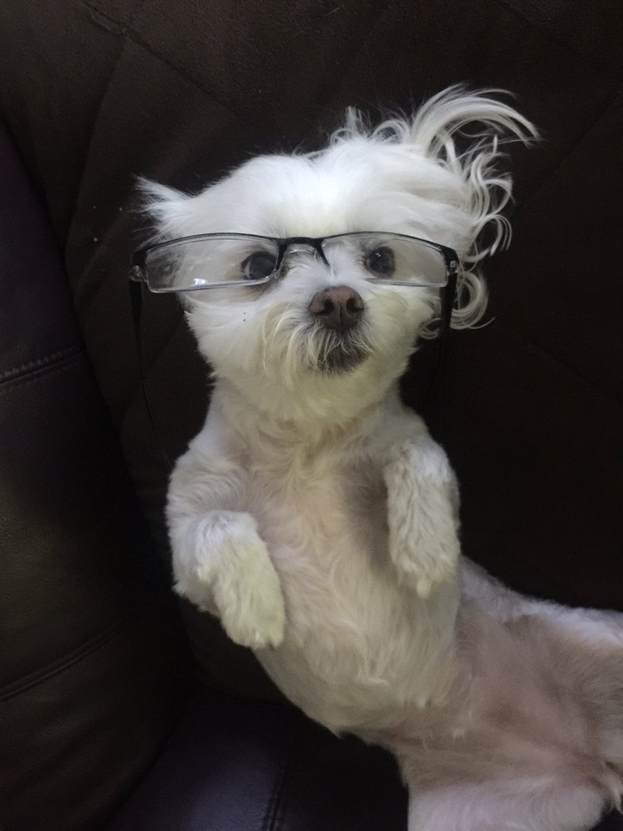 lidicef's tweet photo. @jengolbeck https://t.co/1XhHHoRH65