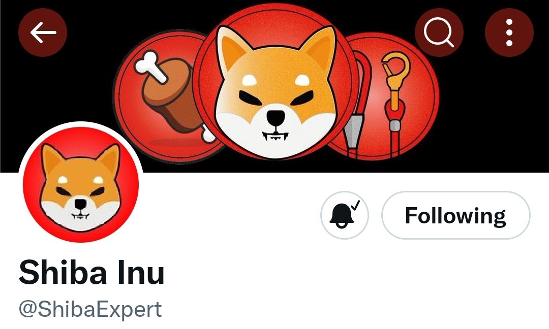 JFRoberts2's tweet photo. @ShibaExpert Thank you!! https://t.co/mHxjncMpi0