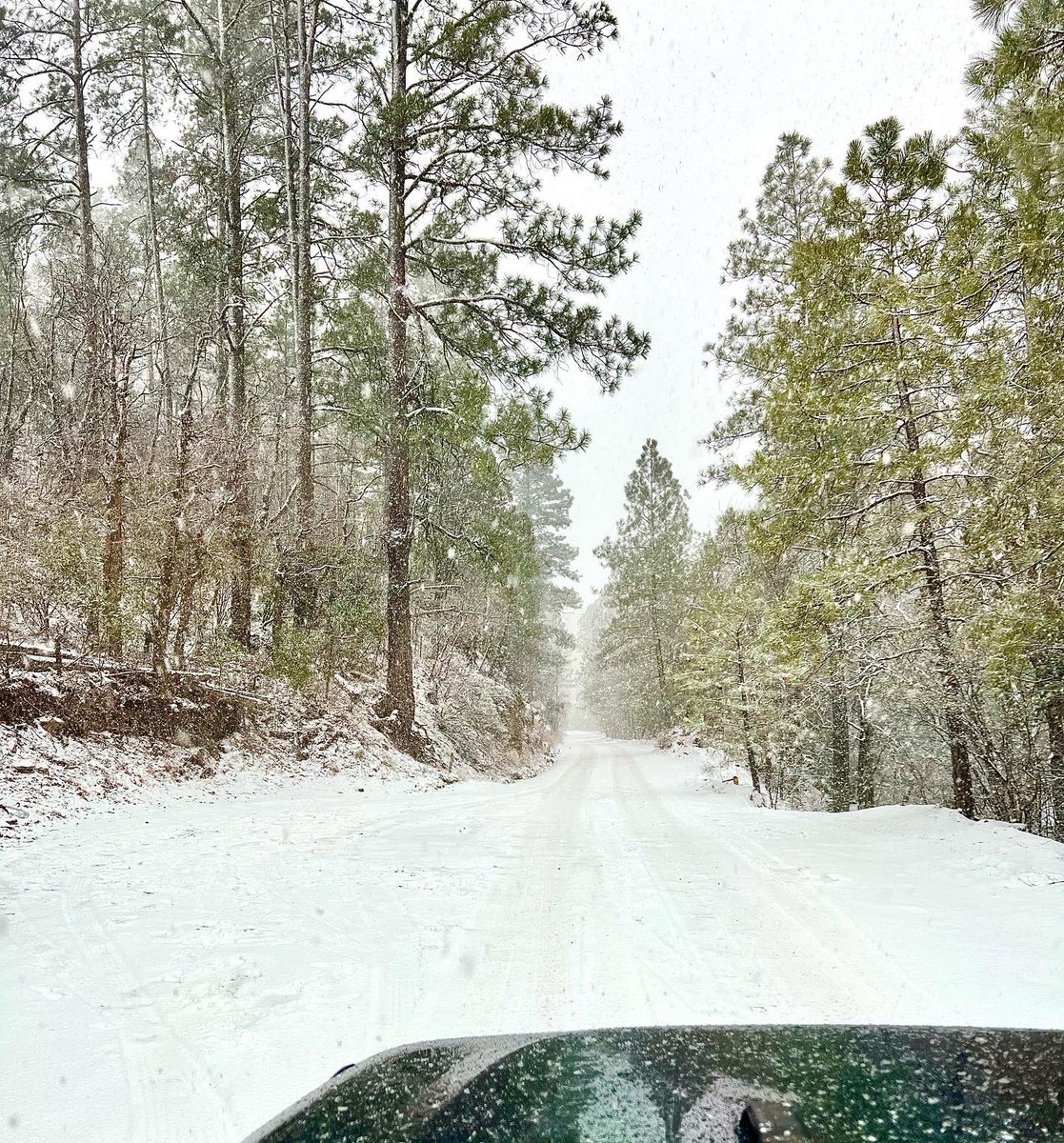 PeterKunka's tweet photo. Snow day! Easy drive to Crown King, AZ. 32 degrees and snowing at the top of the mountain. No problems with traction. #Jeep #Willys OIIIIIIIO #ToyoTires #OpencountryAT3 #CrownKing #Snow #OffRoad #Explore #AZWX https://t.co/WtARICn1oj