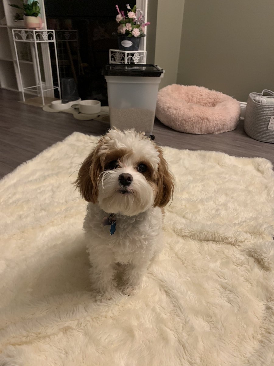 Darcy Wheeler tweet media