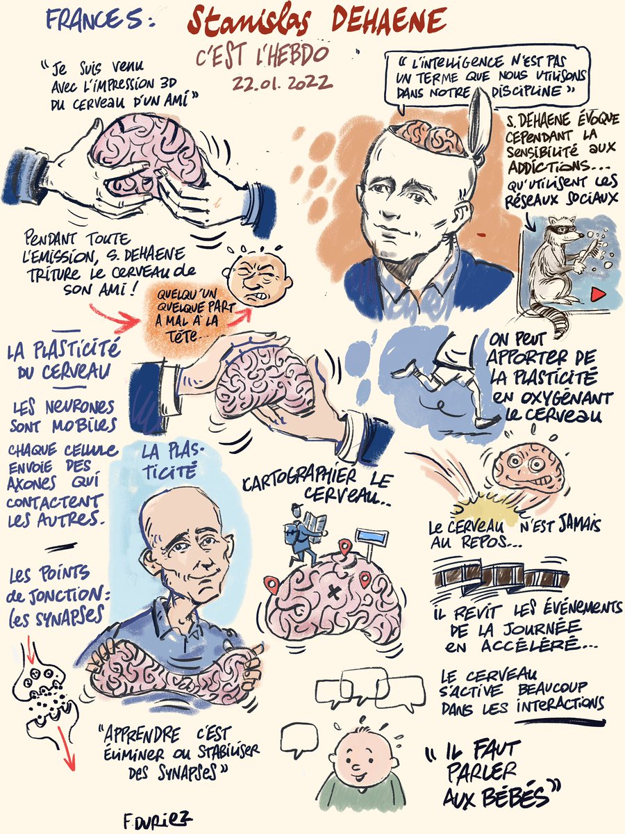 À <a href="/clhebdo5/">C l’hebdo</a>, une interview passionnante de <a href="/StanDehaene/">Stanislas Dehaene @standehaene.bsky.social</a> qui triture un cerveau comme d’autres une balle anti stress. L’effet  « oups », le cerveau qui refait le match en accéléré, la plasticité…
Résumé dessiné #sketchnote #clhebdo