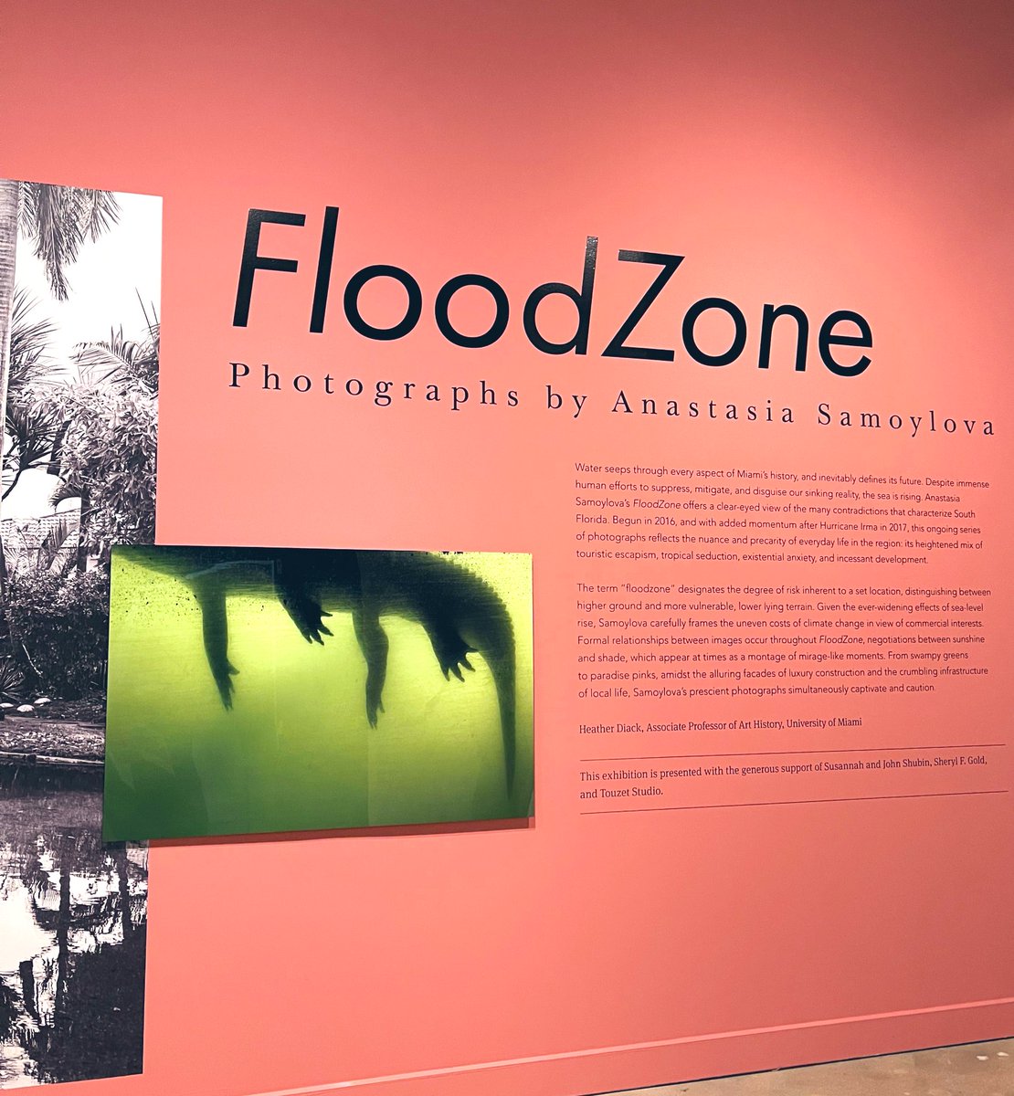VBrunnette's tweet image. Such a beautiful exhibition. Go check it out if you’re in the area! 🌴💖 #observationalphotography #climatechangephotography #miamiphotographer